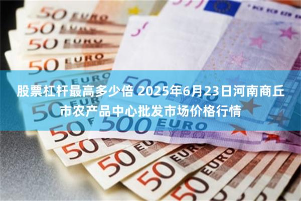 股票杠杆最高多少倍 2025年6月23日河南商丘市农产品中心批发市场价格行情