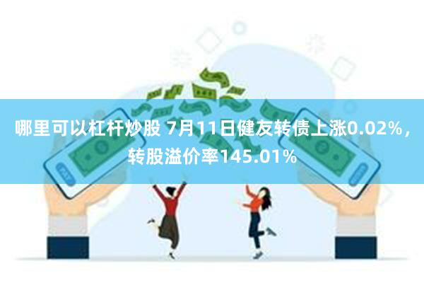 哪里可以杠杆炒股 7月11日健友转债上涨0.02%，转股溢价率145.01%