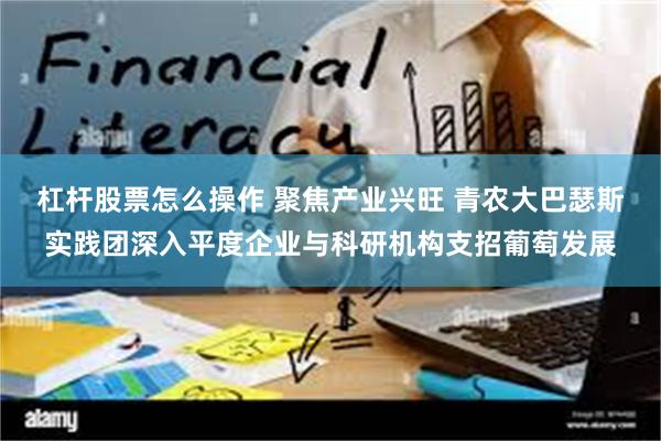 杠杆股票怎么操作 聚焦产业兴旺 青农大巴瑟斯实践团深入平度企业与科研机构支招葡萄发展